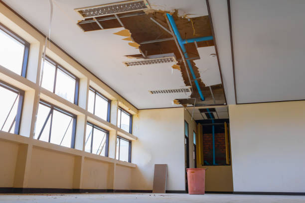 Best Carpet water damage restoration  in Old Brookville, NY