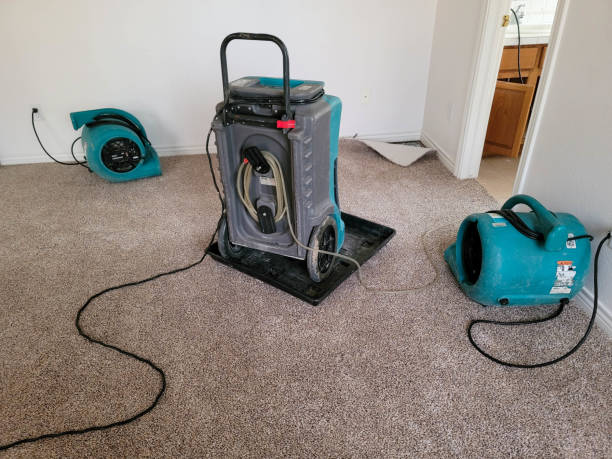Best Basement water damage restoration  in Old Brookville, NY
