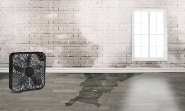 Best Sewage cleanup and water damage restoration  in Old Brookville, NY